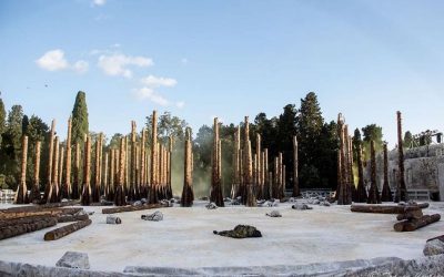 Mille piantine di leccio in Viale Scala Greca