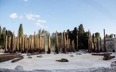 Il 15 dicembre a Siracusa nasce il Bosco delle Troiane