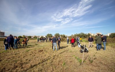 Dal Bosco morto al Bosco delle Troiane: una nuova anima green per Siracusa