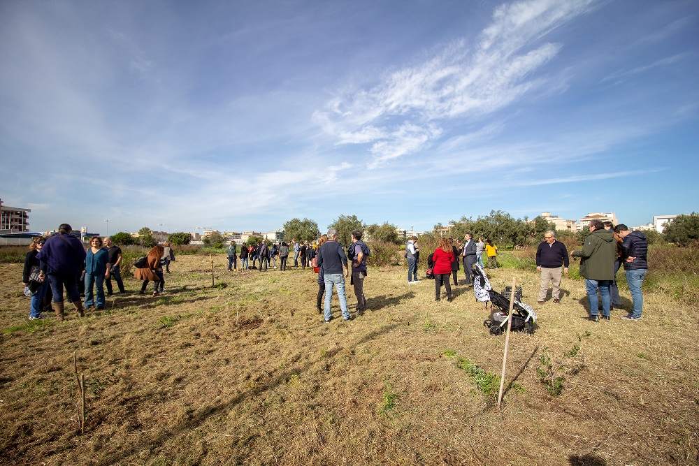 Dal Bosco morto al Bosco delle Troiane: una nuova anima green per Siracusa