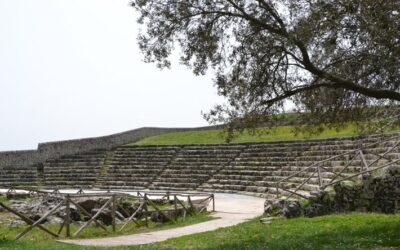 Richiesta di offerta per servizio noleggio pullman XXVII Festival dei Giovani